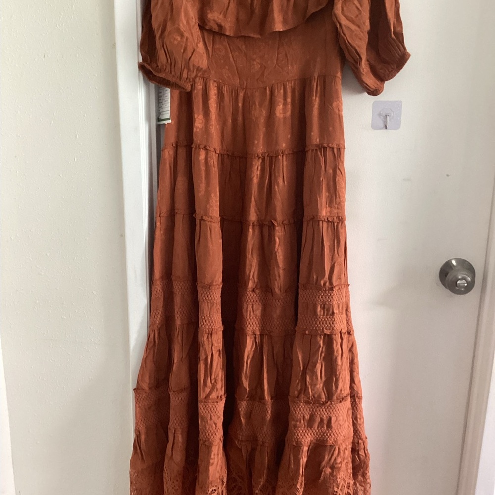 Express Rust Maxi Dress - Picture 5 of 5